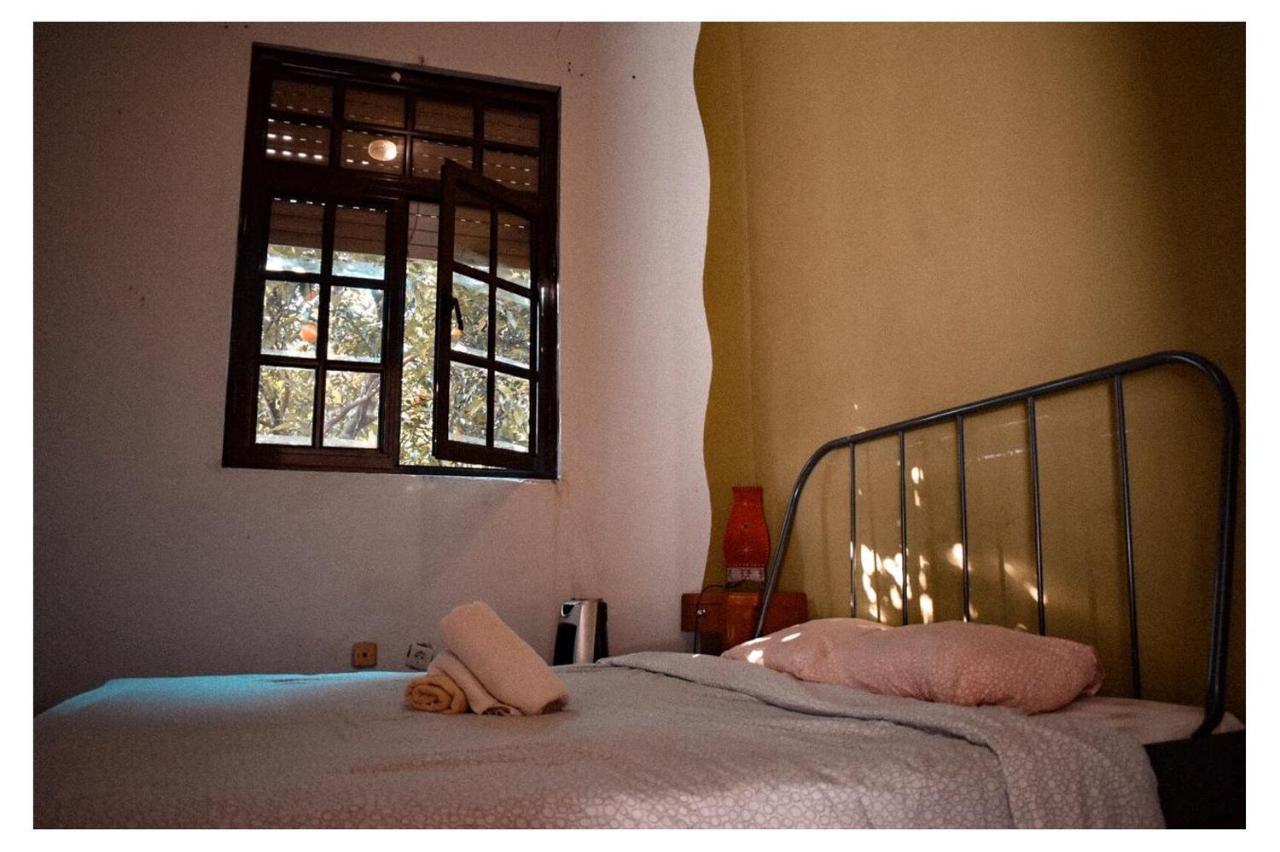 Family Adams House Hostel 布拉加 外观 照片